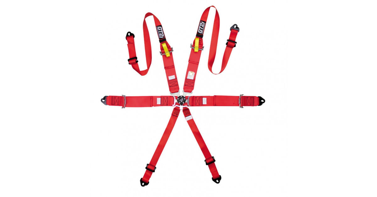 FIA™ certified harnesses -6 points