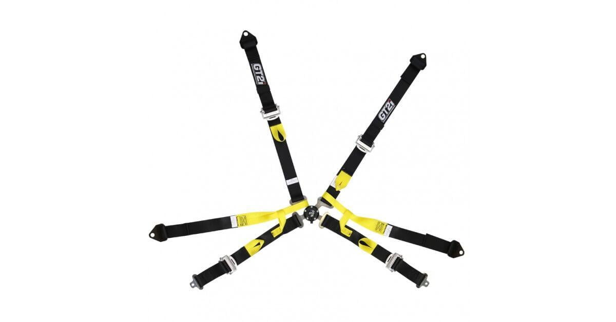 FIA™ single seater harness - 6 point